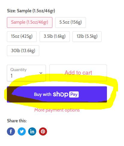 Pay in Installments with Shop Pay