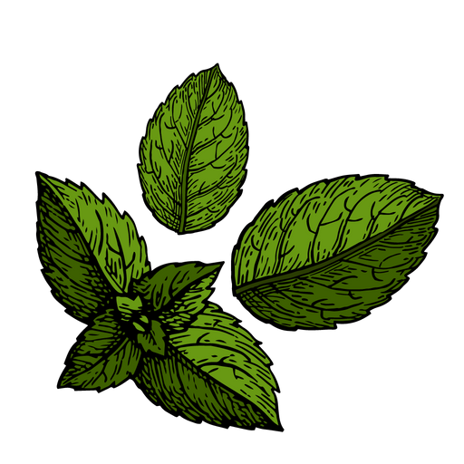 TKB Pure Peppermint Essential Oil