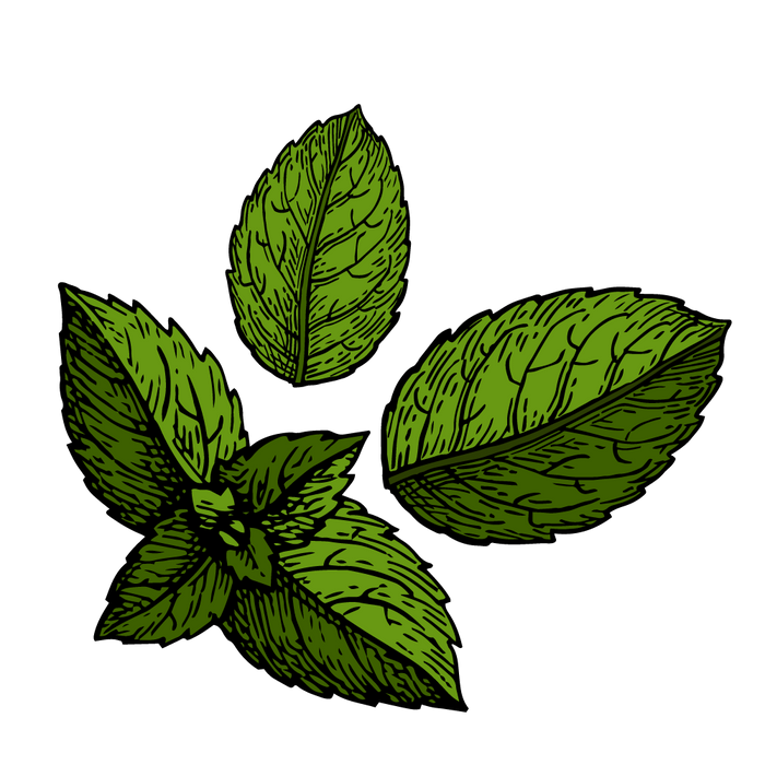 TKB Pure Peppermint Essential Oil