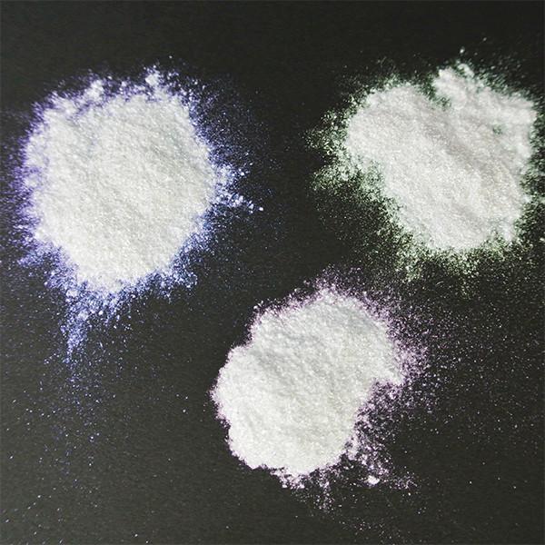 Star Bite Collection